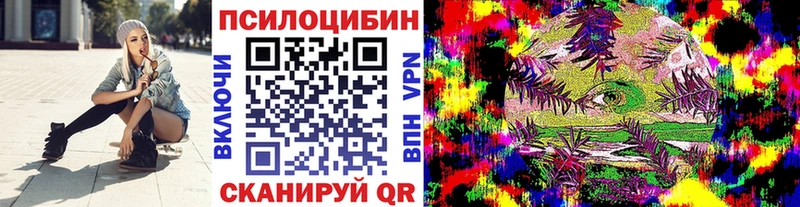 магазин Самара мега tor Псилоцибиновые грибы мицелий